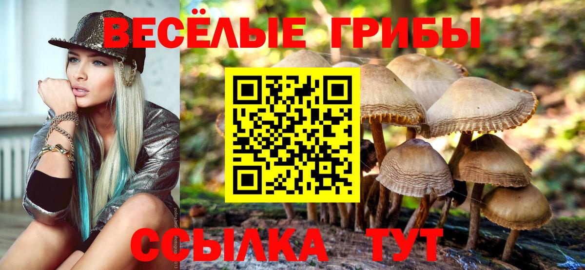 Галлюциногенные грибы Cubensis Алатырь