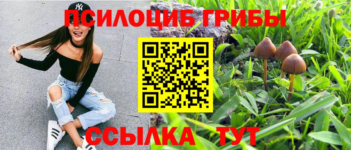 Псилоцибиновые грибы прущие грибы  Вход с VPN  Алатырь 